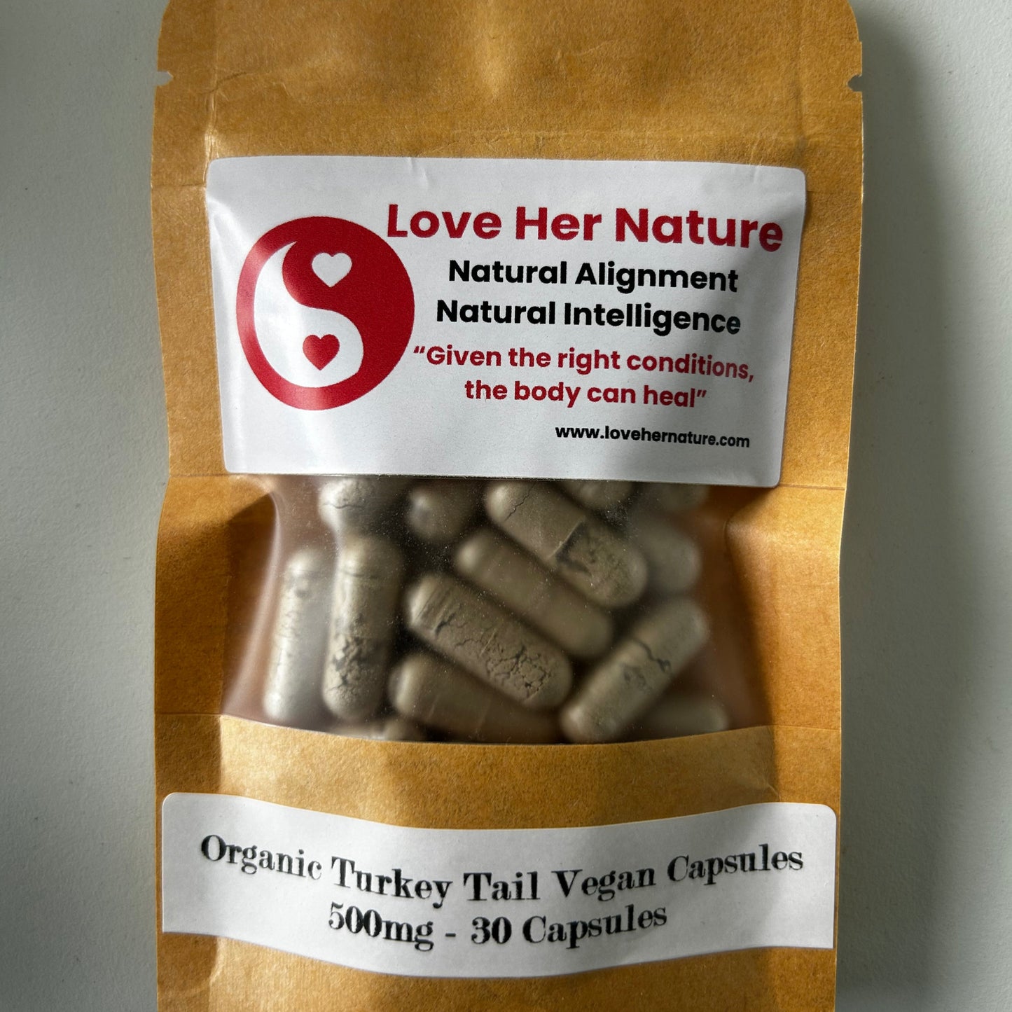 Turkey Tail Mushroom - "Immune Shield"