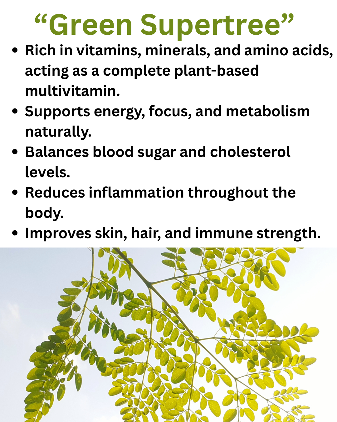 Moringa - "The Miracle Tree"