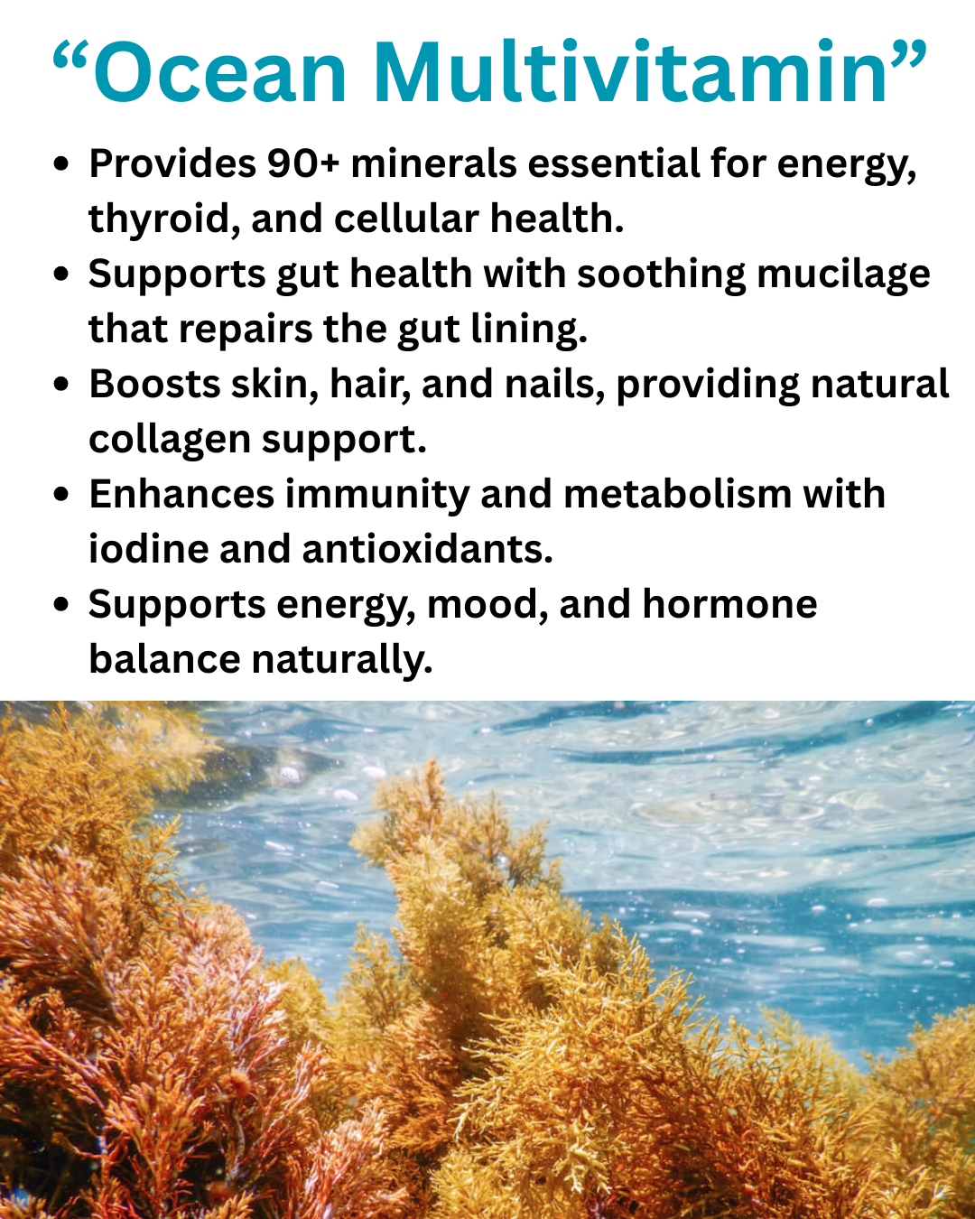 Sea Moss - "92 essential minerals & vitamins"