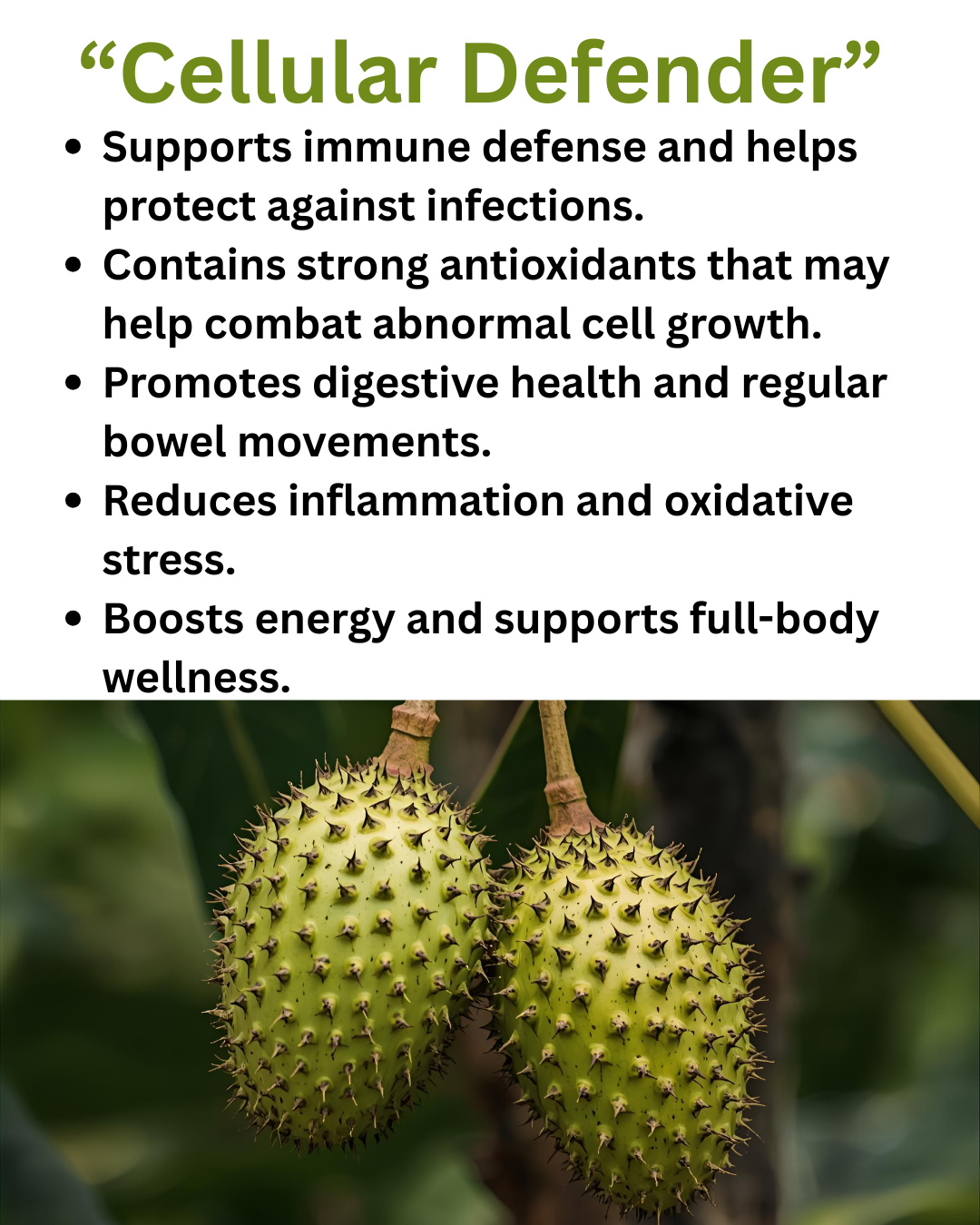 Soursop - “Powerful Healing Properties"