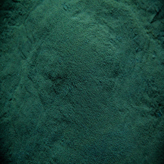 Chlorella