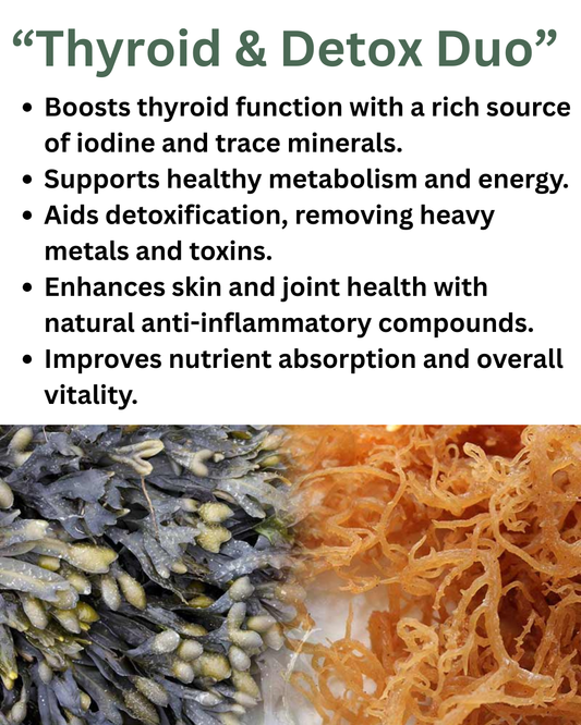 Sea Moss & Bladderwrack